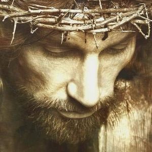 Meet your Posher, Sandy